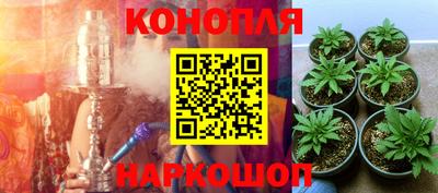 марихуана Новокубанск