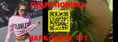таблы Новодвинск