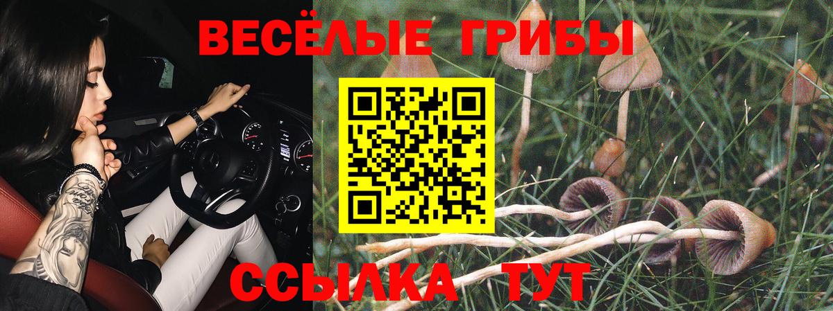 Тобольск  Псилоцибиновые грибы прущие грибы  что такое   Вход с VPN 